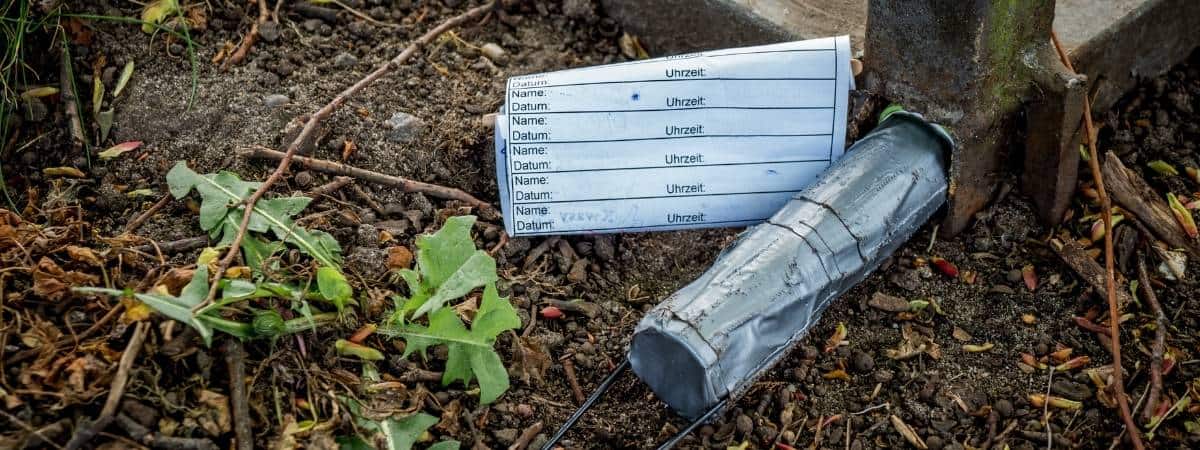 kids find logbook while geocaching