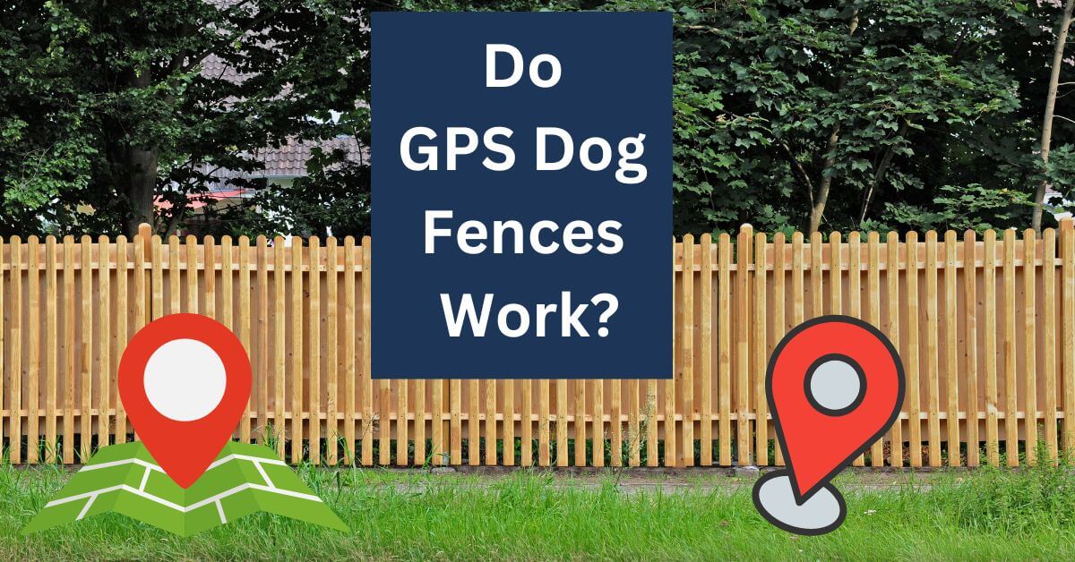 Do GPS Dog Fences Work? (The Truth About Their Effectiveness)